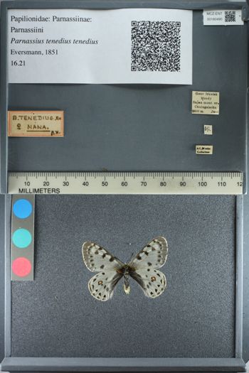 Media type: image;   Entomology 180490